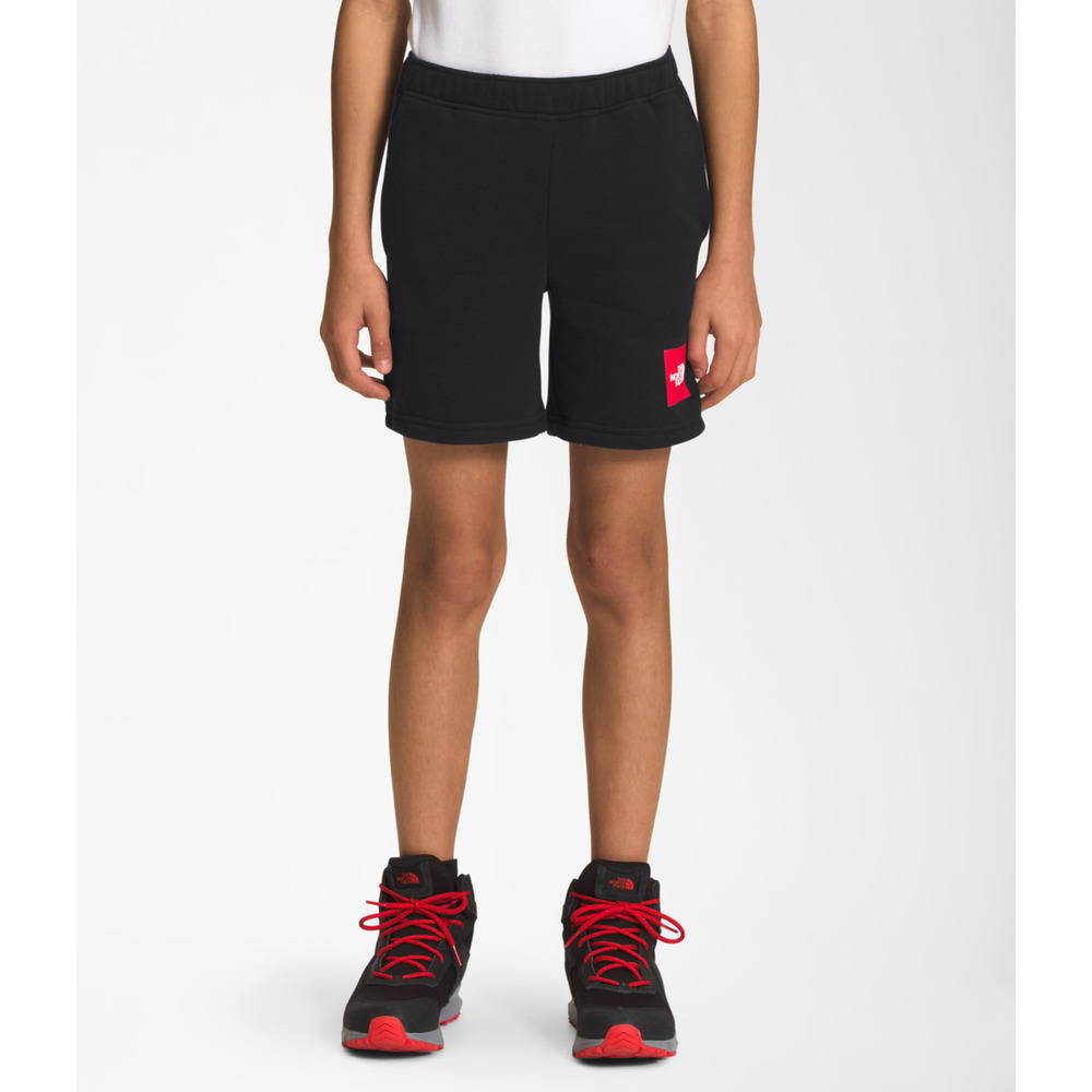 The North Face Boy's Never Stop Training Shorts (Little Kids/Big Kids) L - 14/16
